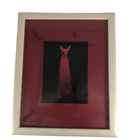 William Wegman Weimeraner Art Print "Devil Dog" Professionally Framed 11x9" - Picture 1 of 11